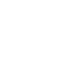 Earth in Common